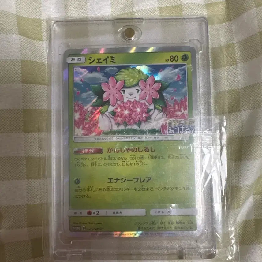 [BUNJANG] 20th Anniversary Limited Edition Shaymin / (급처)오늘만 8만원 20주년 기념 한정판 쉐이미