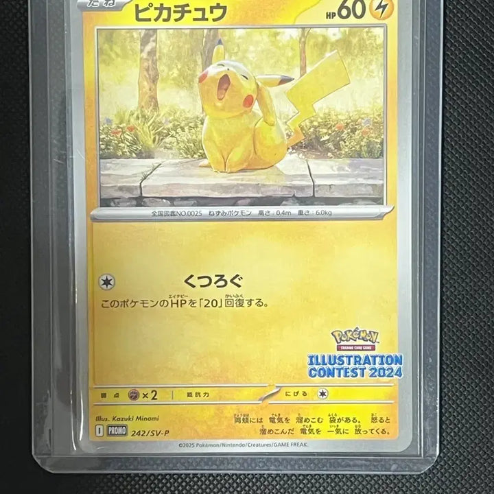 [BUNJANG] Pokémon Card Illustration Contest 2024 Pikachu / 포켓몬 카드 일러스트 콘테스트 2024 피카츄