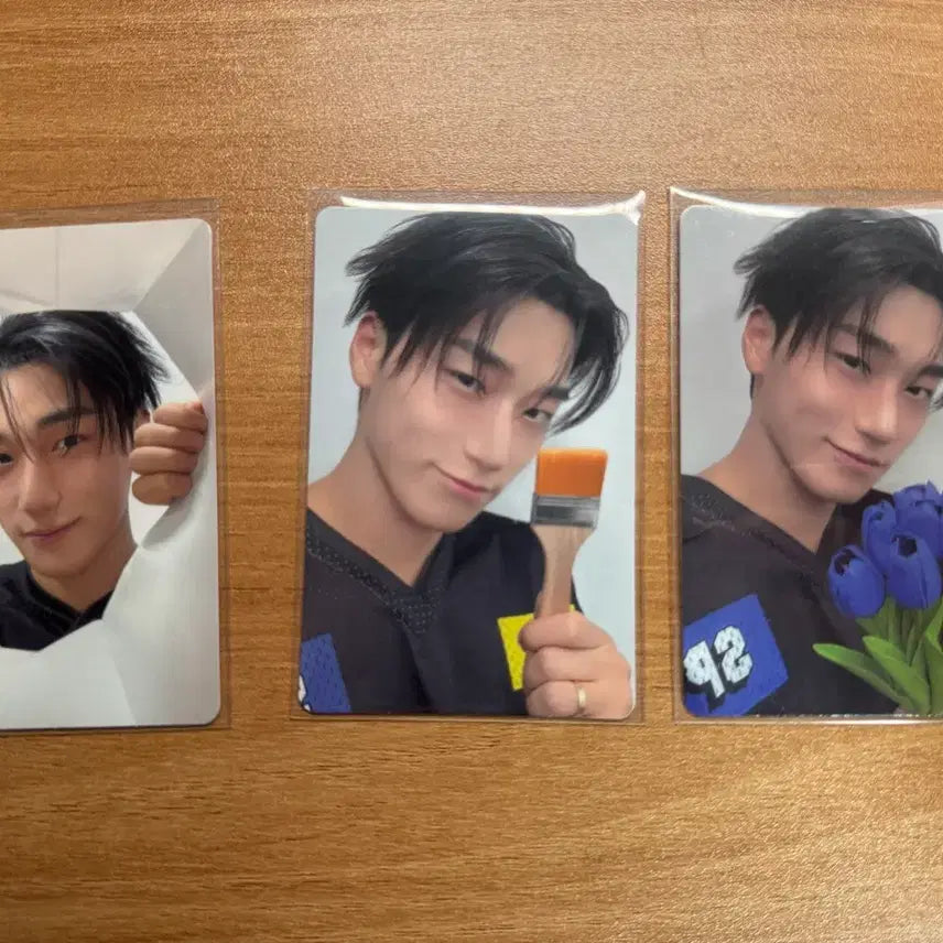 [BUNJANG] ANITIZ Lucky Draw Photocard Set / 애니티즈 특전 포카 산 세트 양도