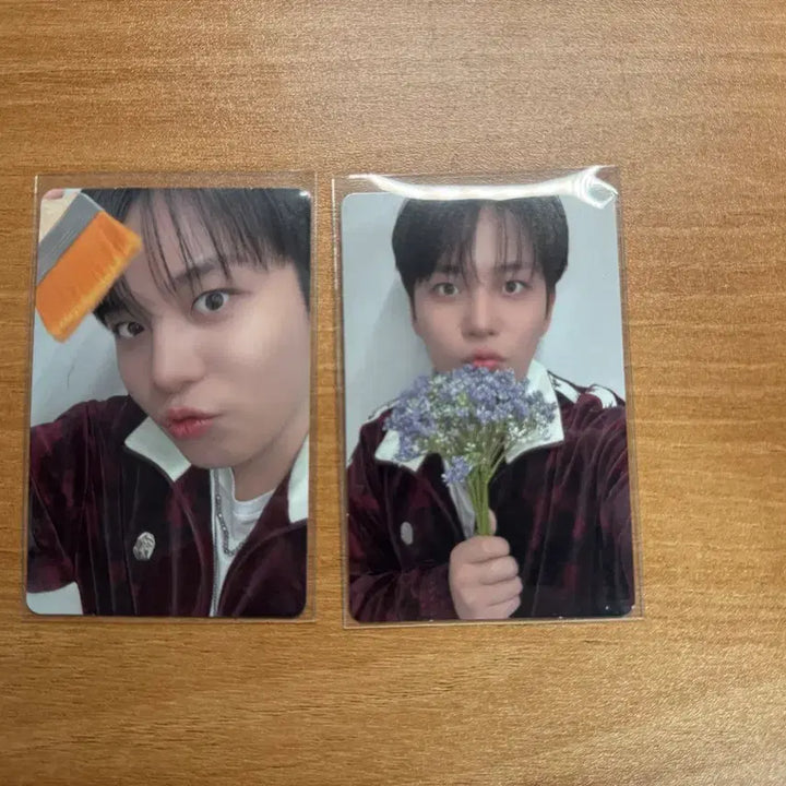[BUNJANG] ATEEZ Jongho In Color Photocard Bundle Set / 애니티즈 종호 특전 포카 일괄 양도