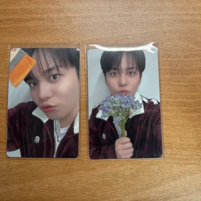 [BUNJANG] ATEEZ Jongho In Color Photocard Bundle Set / 애니티즈 종호 특전 포카 일괄 양도