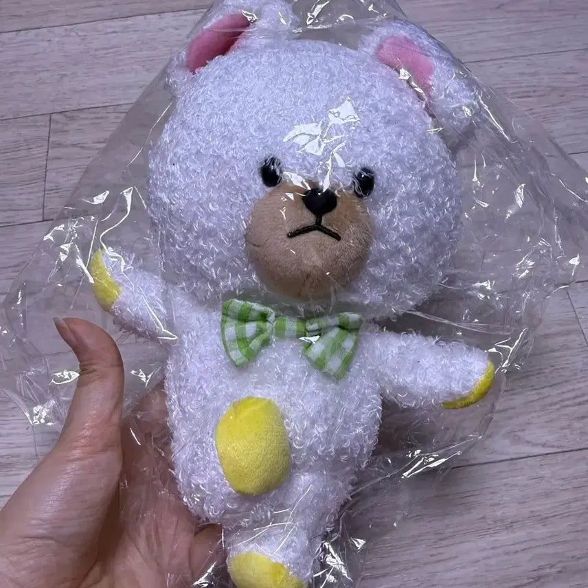[BUNJANG] Bear School Jackie David Standard Plush 25cm / 베어스쿨 재키 데이빗 스탠다드 인형 25cm
