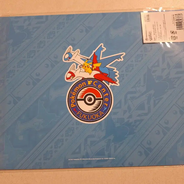 [BUNJANG] Pokemon Festival Illustration A4 Clear File / 포켓몬 축제 일러스트 A4 클리어파일