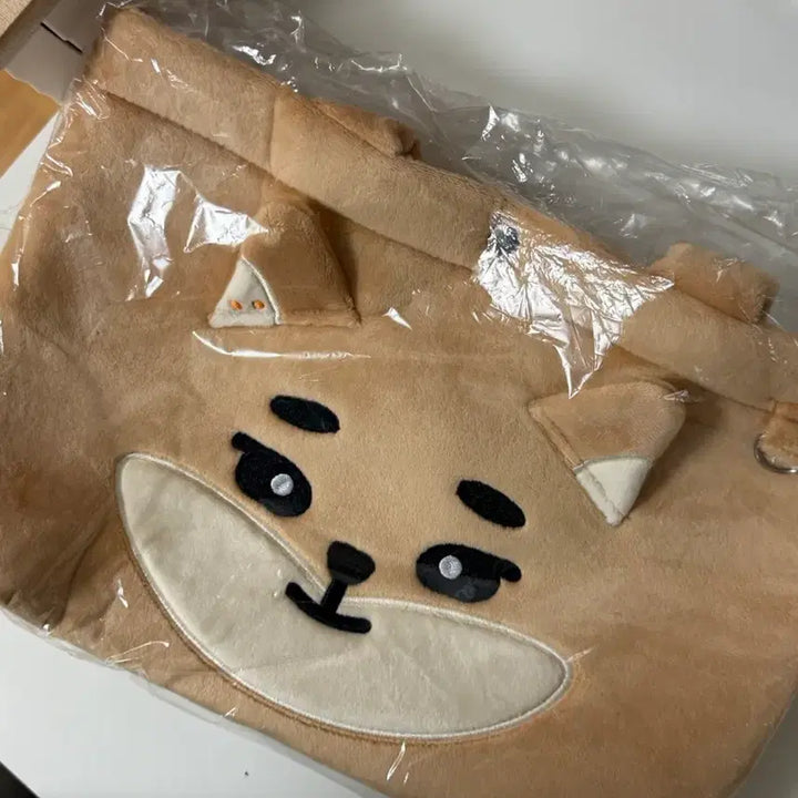 [BUNJANG] Day6 Yokohama Mini Bag / 데이식스 요코하마 미니백 케 판매해요
