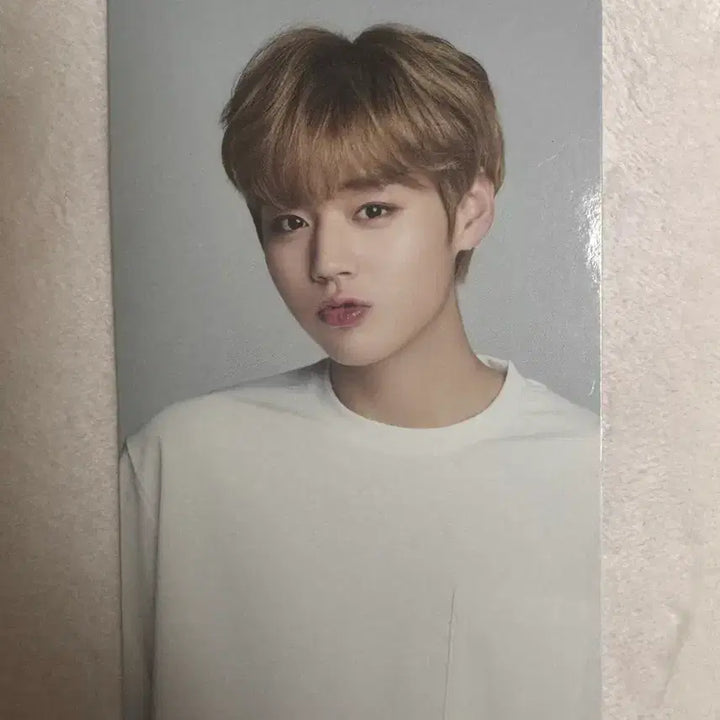 [BUNJANG] Park Jihoon LOTTE Ria Photocard / 박지훈 롯데리아 포카