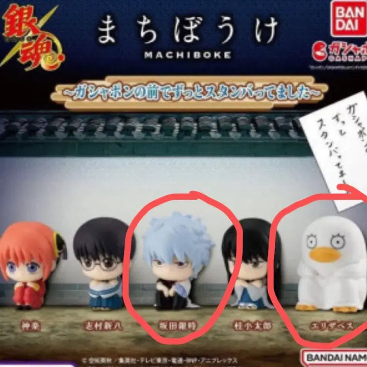 [BUNJANG] Gintama Machiboke Gacha Figure Set (Kintoki + Elizabeth) / 은혼 마치보케 1탄 가챠 피규어/ 긴토키 + 엘리자베스
