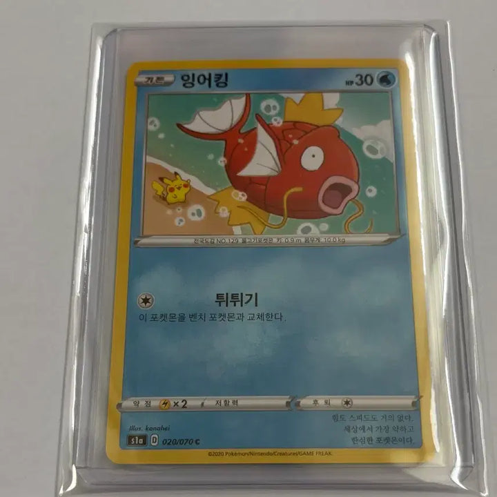 [SOLD OUT] 포켓몬카드 카나헤이 잉어킹