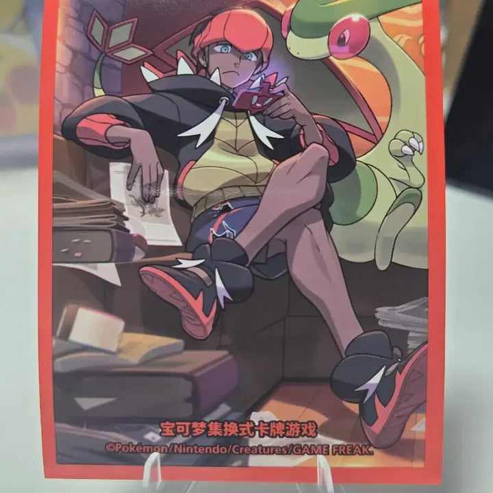 [BUNJANG] Pokemon Card Jin &amp; Flygon Card Shield &amp; Toploader Set (China Exclusive) / 포켓몬카드 금랑 &amp; 플라이곤 카드실드 &amp; 탑로더 세트