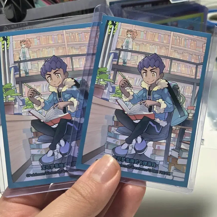 [BUNJANG] Pokémon Card HOB Card Shields &amp; Toploader Set (China Exclusive) / 포켓몬카드 호브 카드실드 &amp; 탑로더 세트