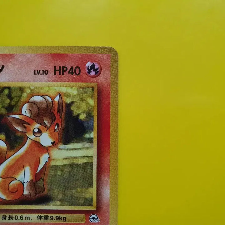 [BUNJANG] 1996 Pokemon Card Vulpix Red Rare First Edition Japanese / 판매완료 1996 적농 식스테일 ss급 초판 일판 일본판