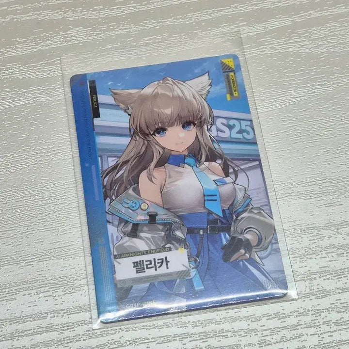 [BUNJANG] Arknights Endfield Pelika Photocard / 명일방주 엔드필드 펠리카 포카