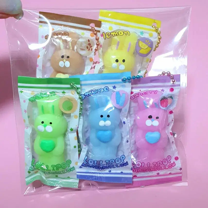 [BUNJANG] Punipuni Jelly Bunny Gacha Keyring Set of 5 / 푸니푸니 젤리 토끼 가챠 키링 5종셋트