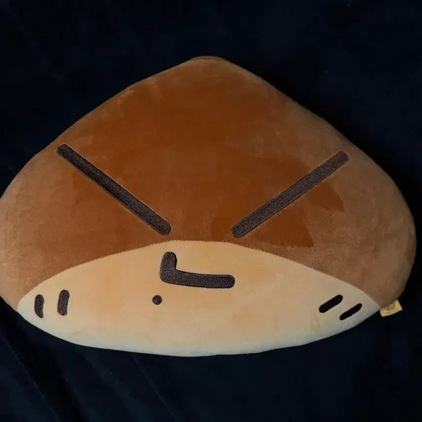 [BUNJANG] NCT DREAM Jisung Chestnut Holder Cushion (Unsealed) / 엔시티드림 지성 군밤맨 쿠션(개봉)
