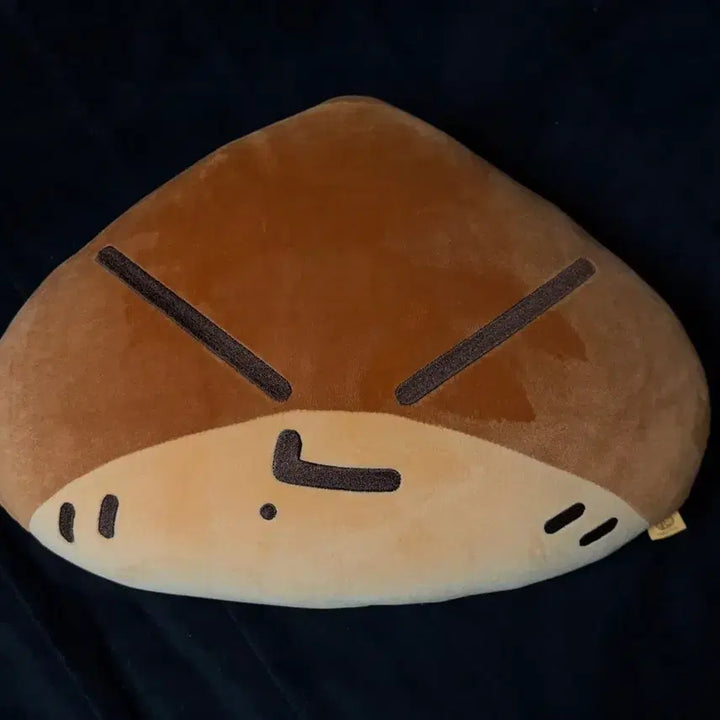 [BUNJANG] NCT DREAM Jisung Chestnut Holder Cushion (Unsealed) / 엔시티드림 지성 군밤맨 쿠션(개봉)