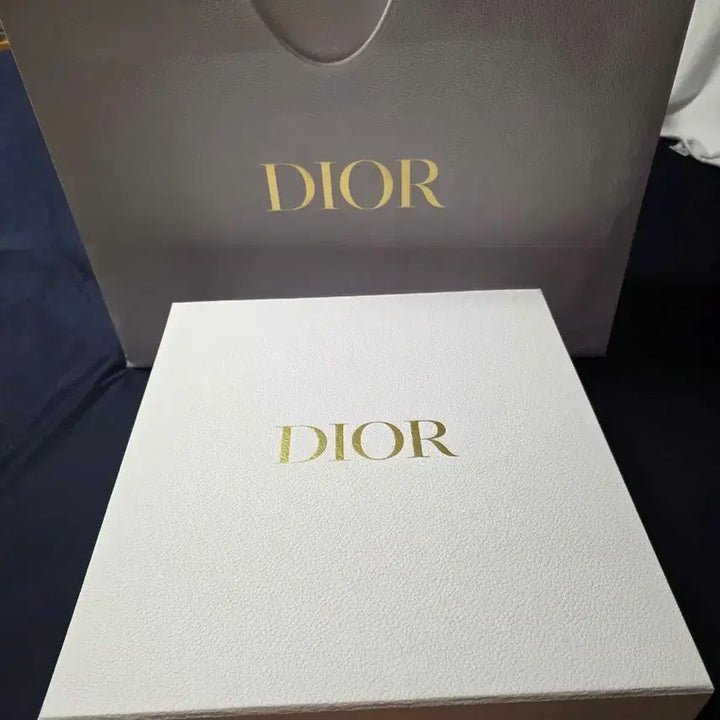 [BUNJANG] Dior Large Box with Shopping Bag Set / 명품박스 대형 )디올 가방 박스+쇼핑백 풀세트 (레이디백 라지/북토트/리