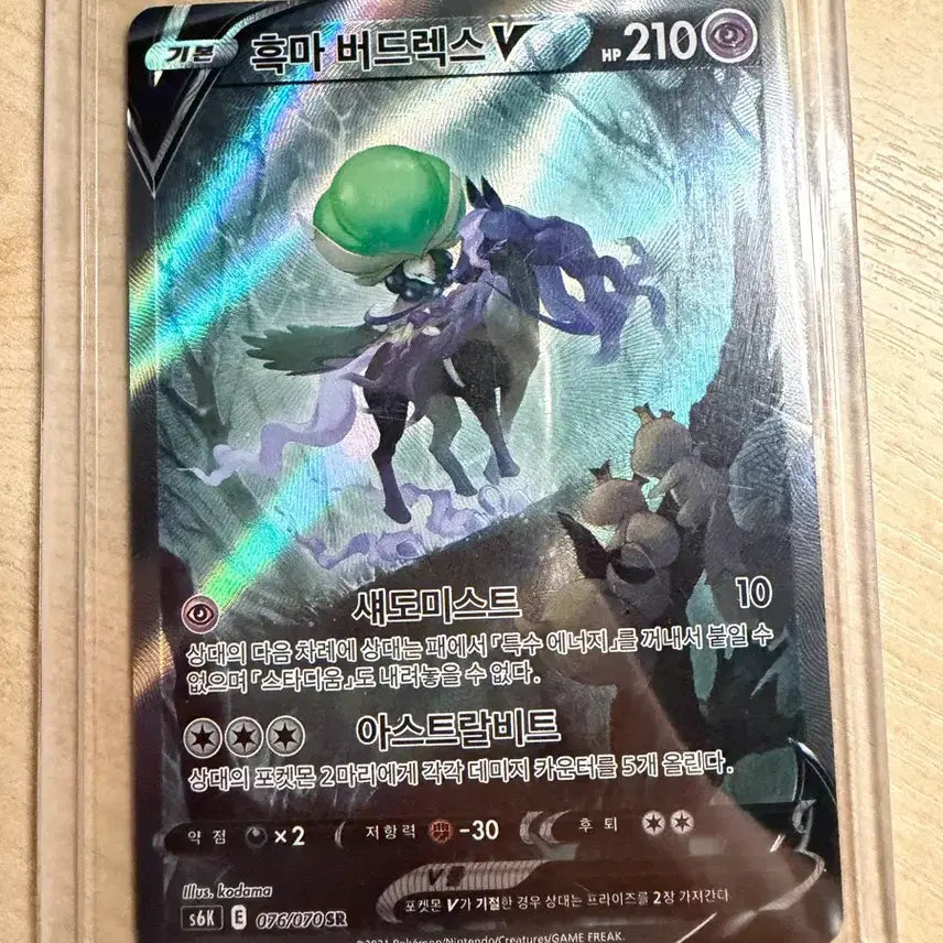 [BUNJANG] Pokemon Aqua Gang Groudon EX Black Steed Birdrax Ptera Special Illustration Rare Card / 아쿠아단의 가이오가 흑마 버드랙스 프테라 특일 판매합니다