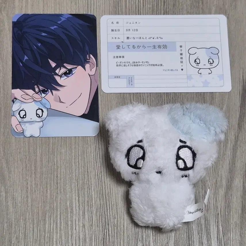 [SOLD OUT] 쭈니땅 (플레이브 예준 비공식인형)