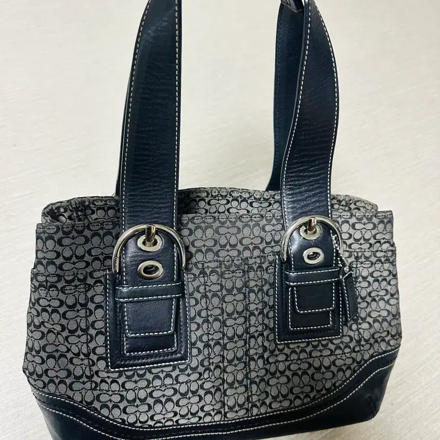[BUNJANG] Coach Bag / 코치가방