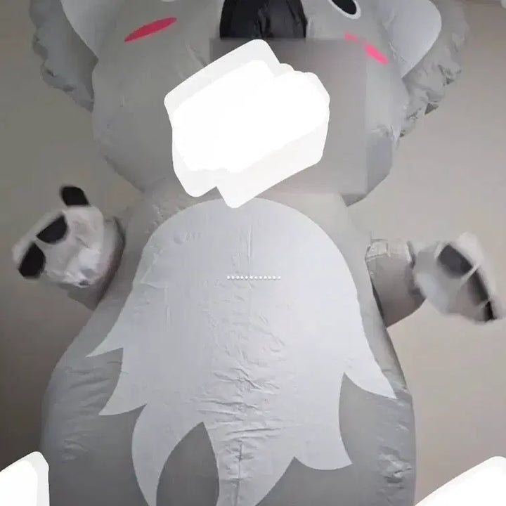 [BUNJANG] Koala Air Suit Rental / 코알라 에어슈트 대여