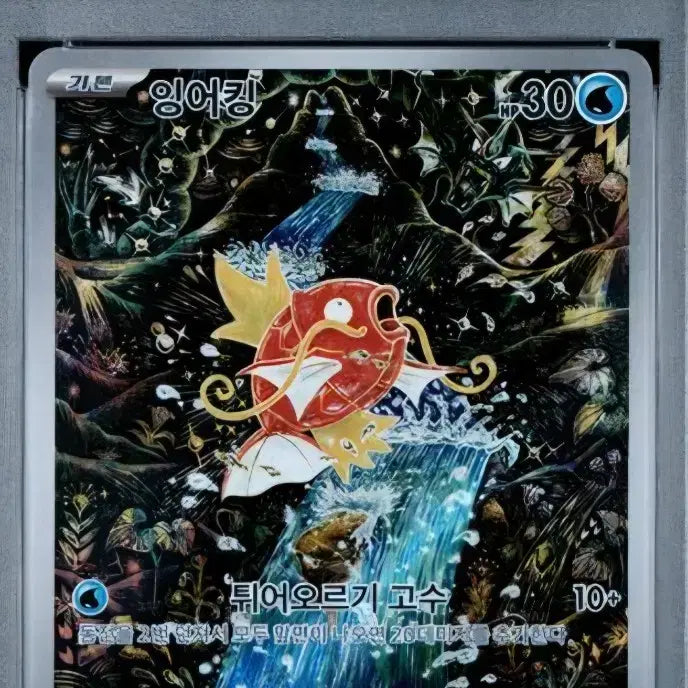 [BUNJANG] Magikarp AR PSA 10 / 포켓몬카드 잉어킹 AR PSA10