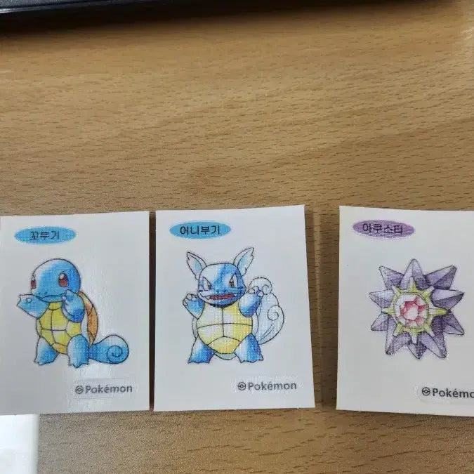 [BUNJANG] Pokemon 30th Anniversary Artic &
