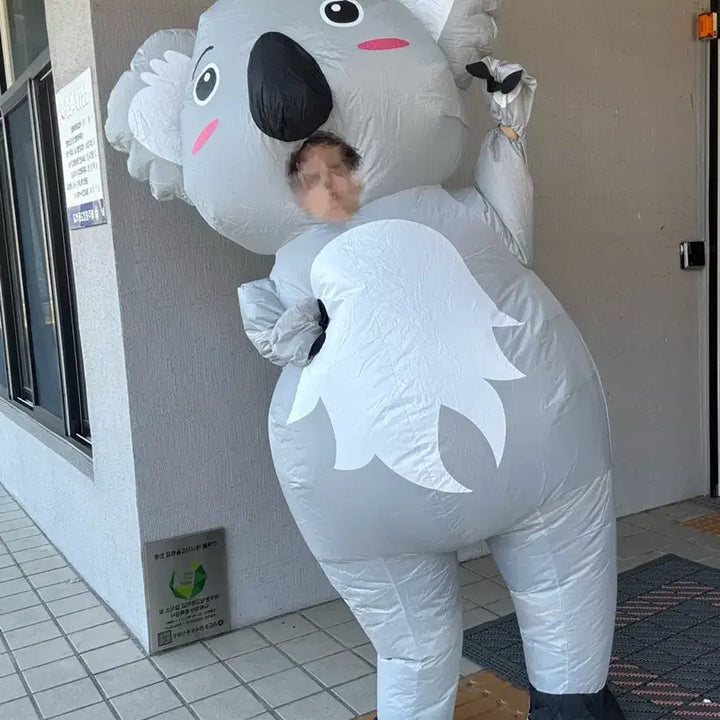 [BUNJANG] Koala Air Suit Rental / 코알라 에어슈트 대여