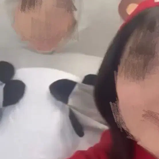 [BUNJANG] Koala Air Suit Rental / 코알라 에어슈트 대여