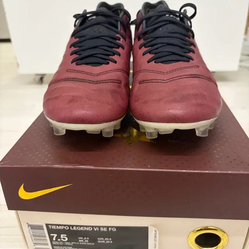 [BUNJANG] Nike Tiempo Legend 6 Pirlo Edition Limited Edition Soccer Cleats / 나이키 티엠포 레전드 6 피를로 에디션 한정판 축구화