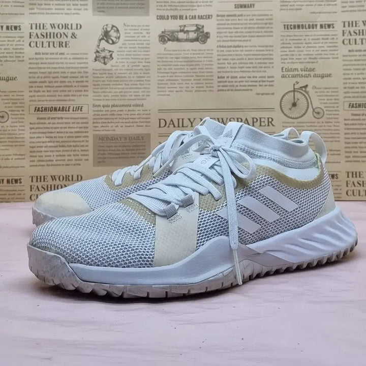[BUNJANG] Adidas Crazy Train Pro 3.0 Shoes (245) / 아디다스 크레이지 트레인 프로3.0 운동화 245