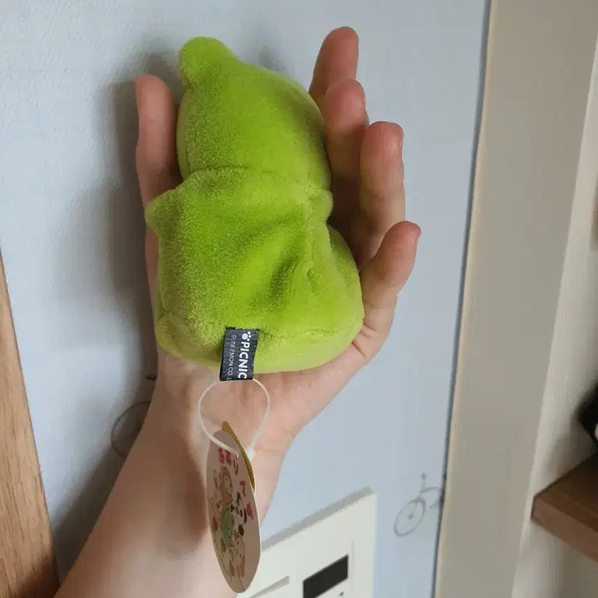 [BUNJANG] Picnic World Frog Plush / 6월20일까지)흐물텅 피크닉월드 개구리인형