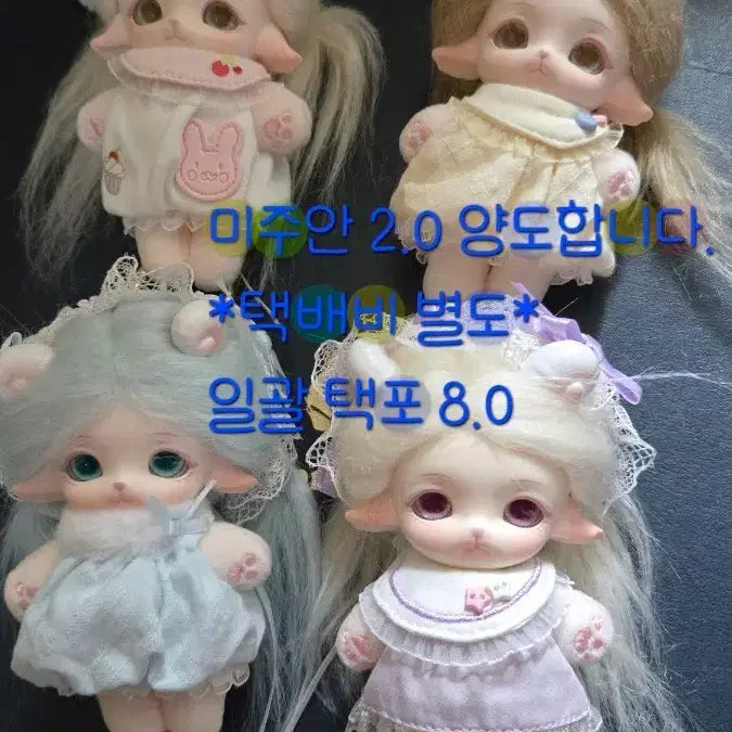 [BUNJANG] Mijuan Mijuan Doll / 미미안/미주안 인형 양도합니다