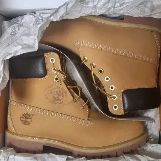 [BUNJANG] Timberland 6-Inch Premium Boots Medium Size 270 / 새상품)팀버랜드 6인치 프리미엄 부츠 미디움 270사이즈