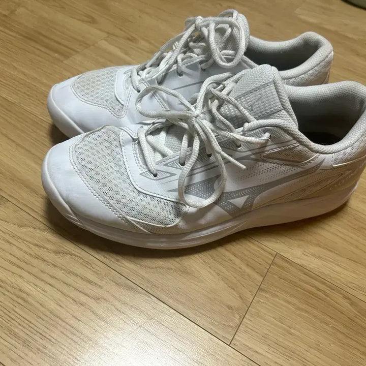 [BUNJANG] Mizuno Cyclone Speed 5 Indoor Shoes (Size 260) / 미즈노 사이클론 스피드 5 260사이즈 체대입시화 배구화 인도어화