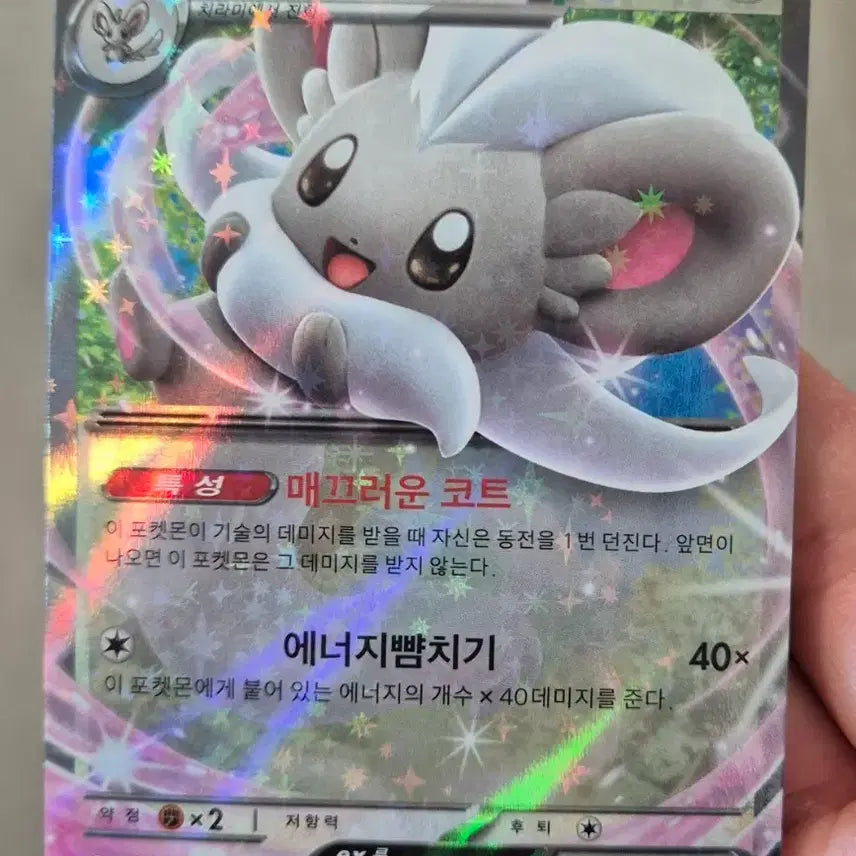 [BUNJANG] Pokemon Card Chirachino RR / 닌자스피너 포켓몬카드 치라치노 rr 팝니다.
