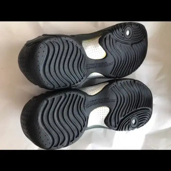 [BUNJANG] Nike Flightposite "Pest" 2008 (Size 300) / 나이키 플라이트포짓 새제품