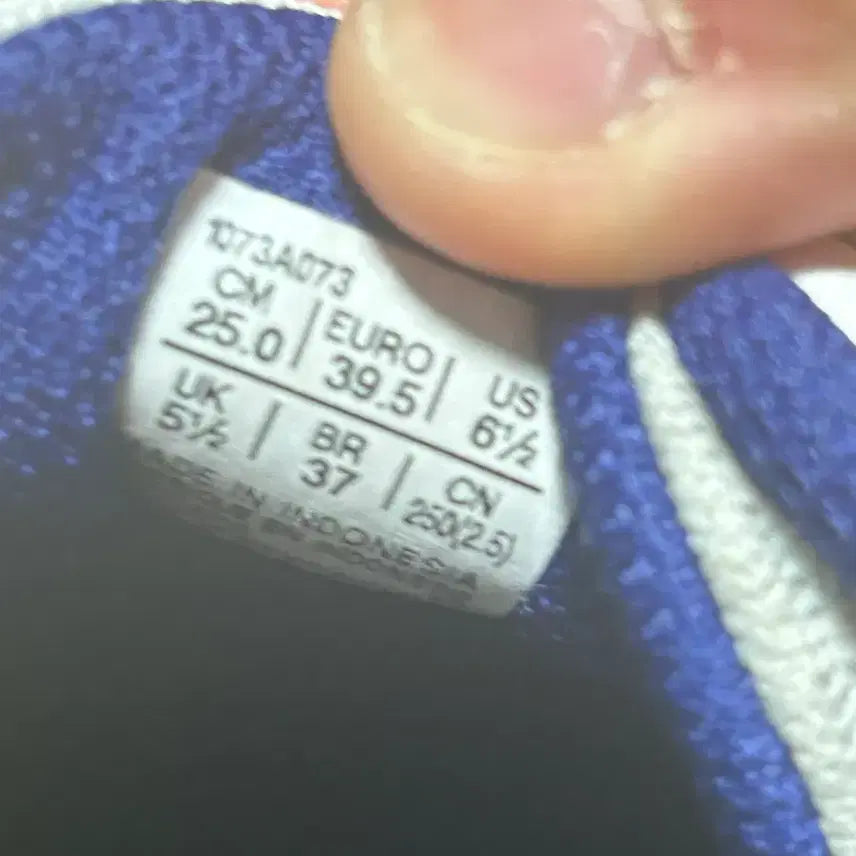 [BUNJANG] Asics Libre CF 250 Volleyball Indoor Shoes / 아식스 리브레 cf 250  체대입시화 배구화 인도어화