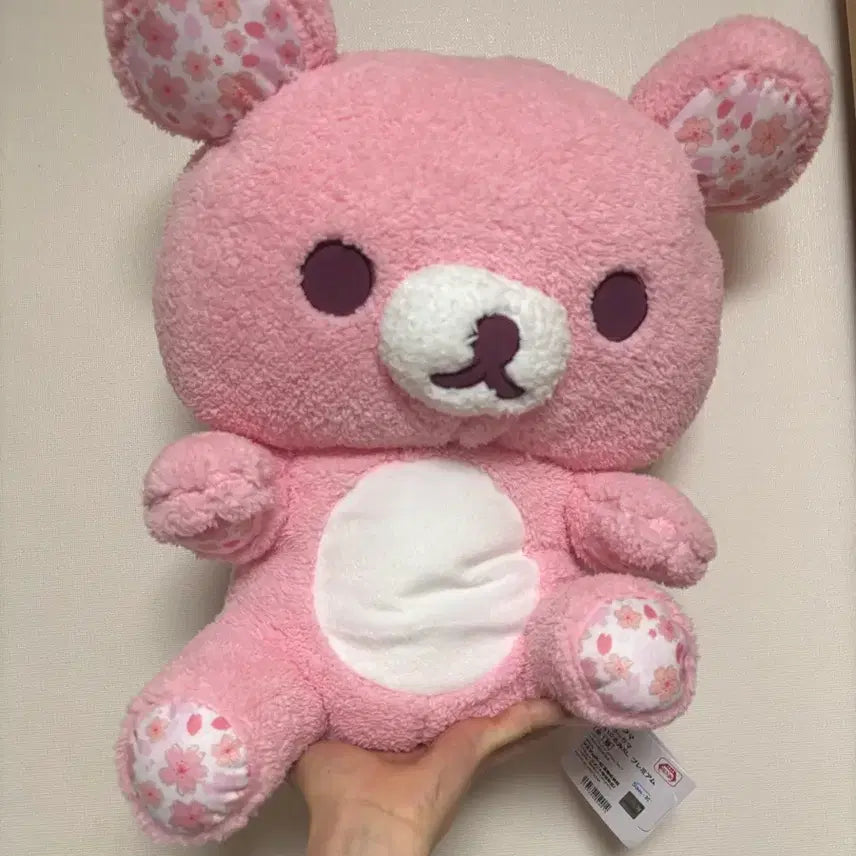 [BUNJANG] Rilakkuma Cherry Blossom XL Plush Doll / 리락쿠마 벚꽃 XL 봉제인형 대형 대왕