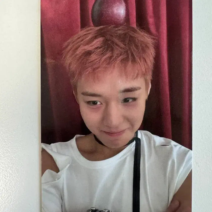 [BUNJANG] Park Ji Hoon MBC Show Champion Live Recording Photocard / 박지훈 음중 공방 포카 양도
