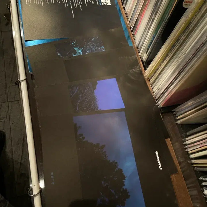[BUNJANG] Thornapple Lee Sangkihu LP / 쏜애플 이상기후 LP