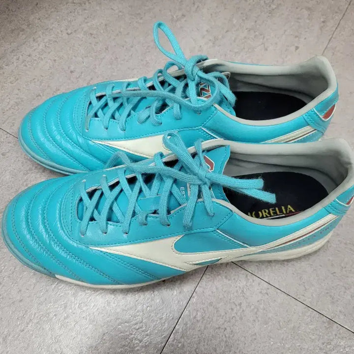 [BUNJANG] Mizuno Morelia Futsal Shoes / 미즈노 모렐리아 풋살화