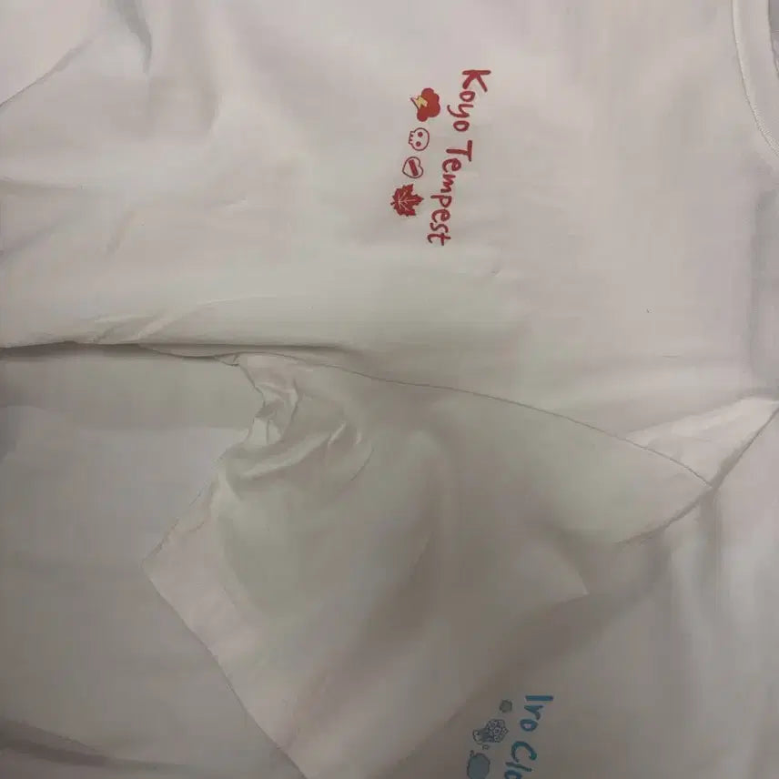 [BUNJANG] Scyzism Short-Sleeve T-Shirt "Iro Koyo" / 스코시즘 반팔티 이로 코요