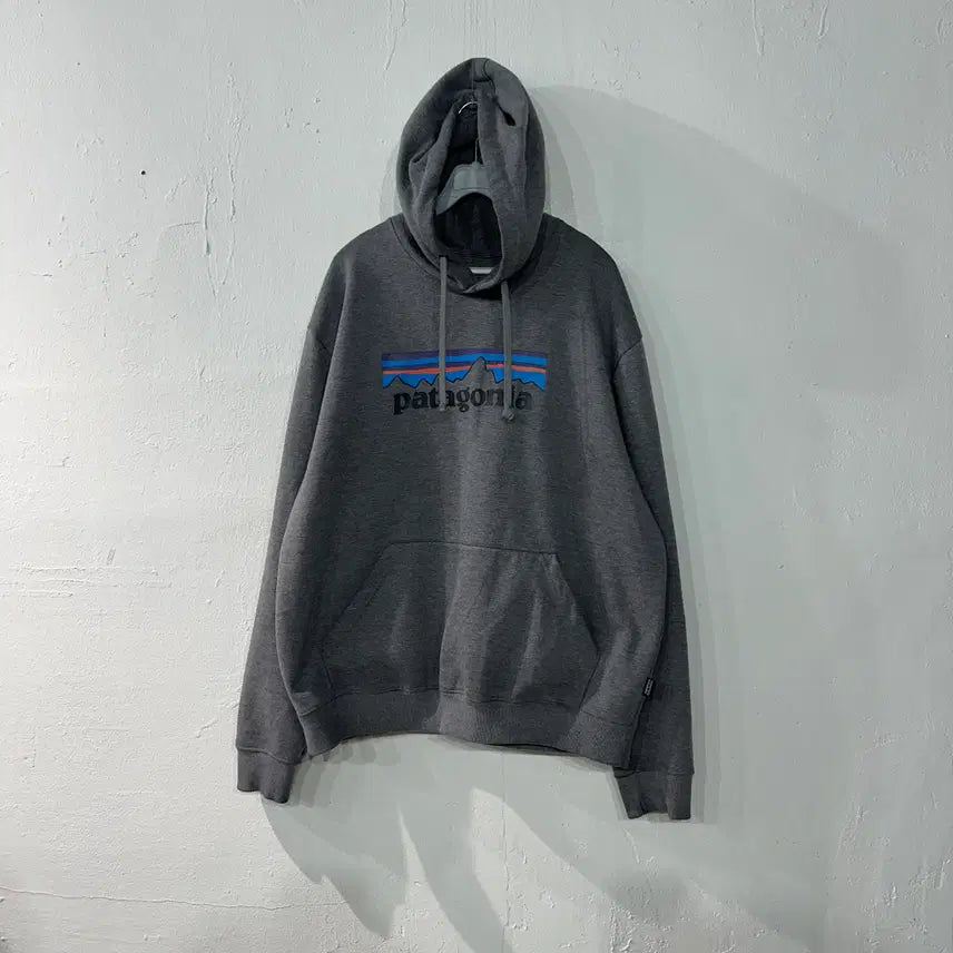 [BUNJANG] Patagonia Hoodie XL / 파타고니아 후드티 XL