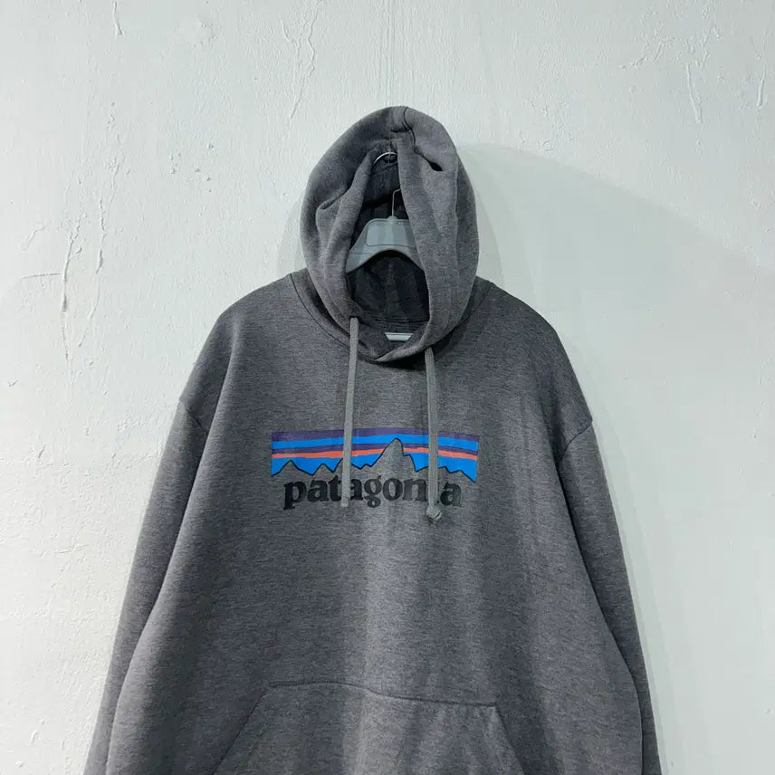 [BUNJANG] Patagonia Hoodie XL / 파타고니아 후드티 XL