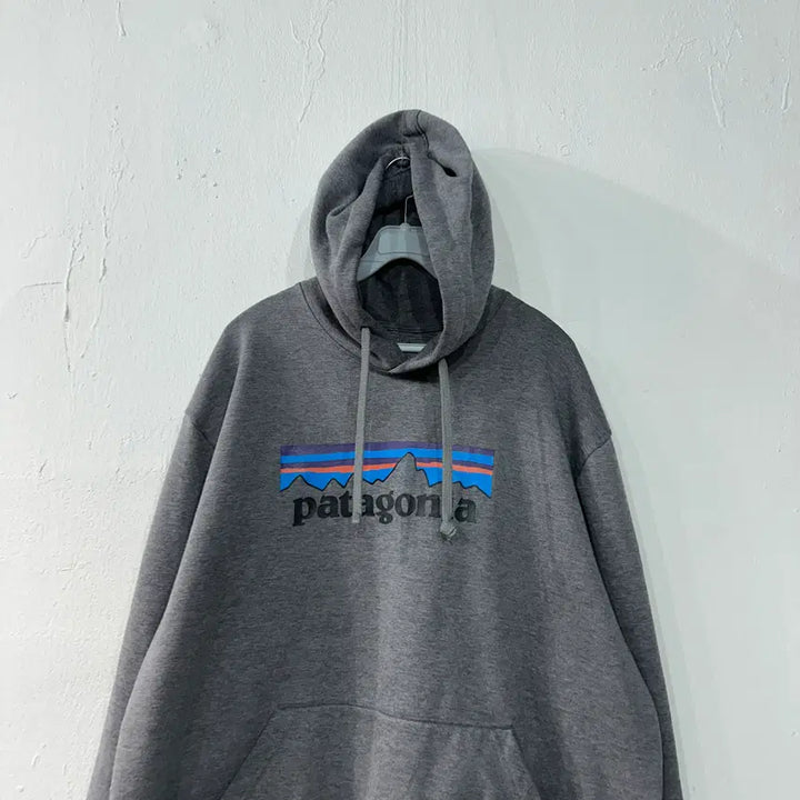 [BUNJANG] Patagonia Hoodie XL / 파타고니아 후드티 XL