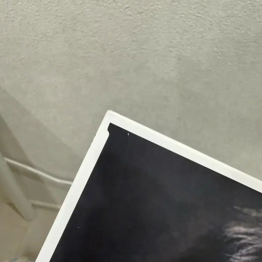 [BUNJANG] RM Arirang LP / 남준 아리랑 LP 판매