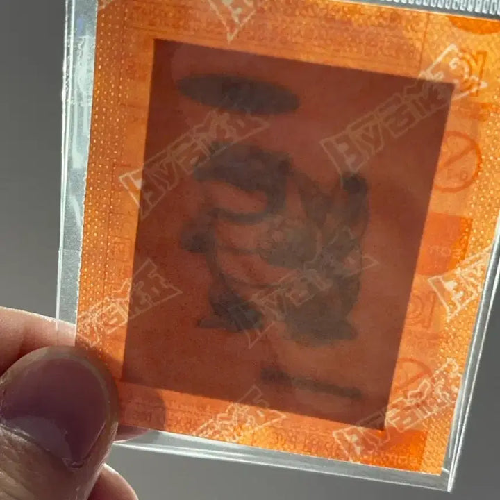 [BUNJANG] 30th Anniversary Pokemon Turtle - Dibs Seal / 30주년 포켓몬 띠부씰 거북왕