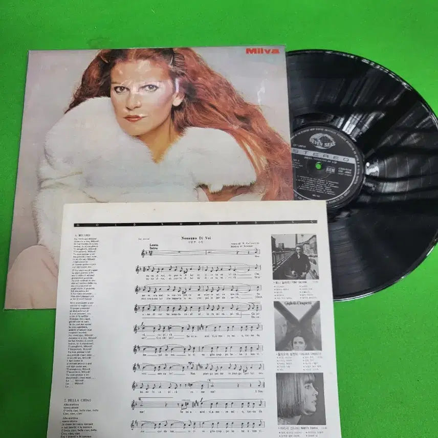 [BUNJANG] Milva LP Record Stand / -LP- 밀바(Milva) 음반 LP 장