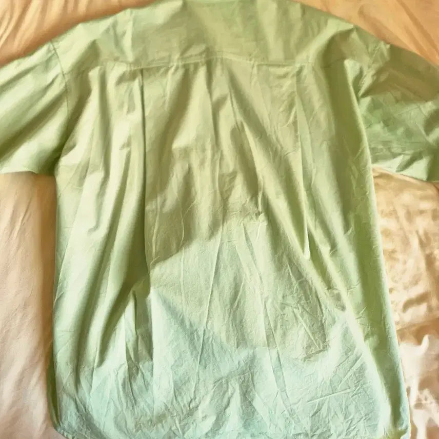 [BUNJANG] Oversized Oxford Shirt - Green / 연두색 오버사이즈 옥스포드 셔츠