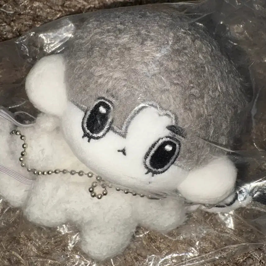 [BUNJANG] BOYNEXTDOOR Suspicious Neighbor Leehan Unsealed Doll / 보이넥스트도어 수상한 옆집 비공식 인형 이한 미개봉