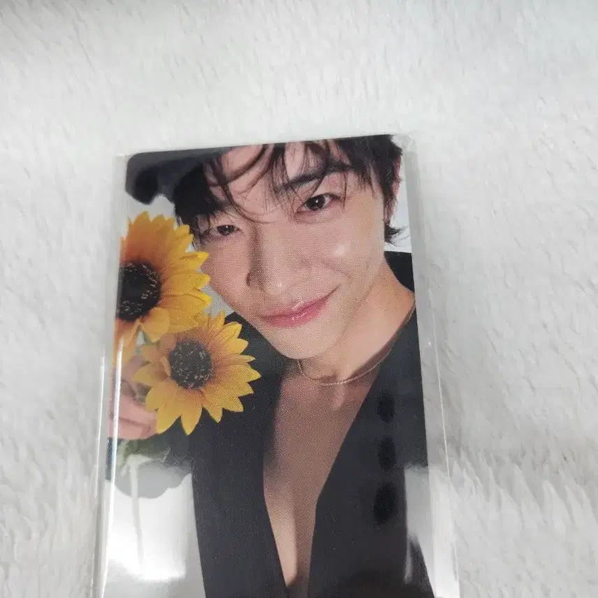 [BUNJANG] Chae Jong Hyeop MD Scarf Photocard / 채종협 md 스카프 포카
